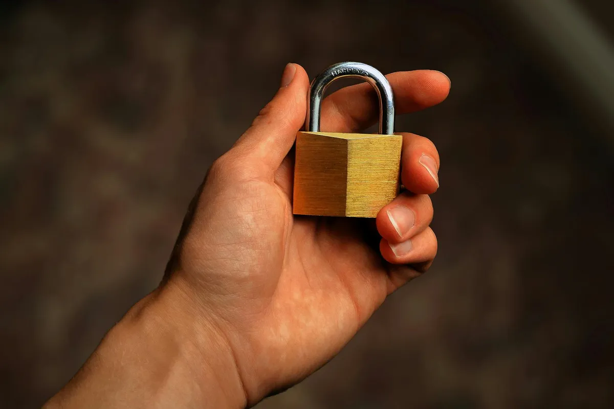 SimpleLogin vs anon.li: Business Email Protection